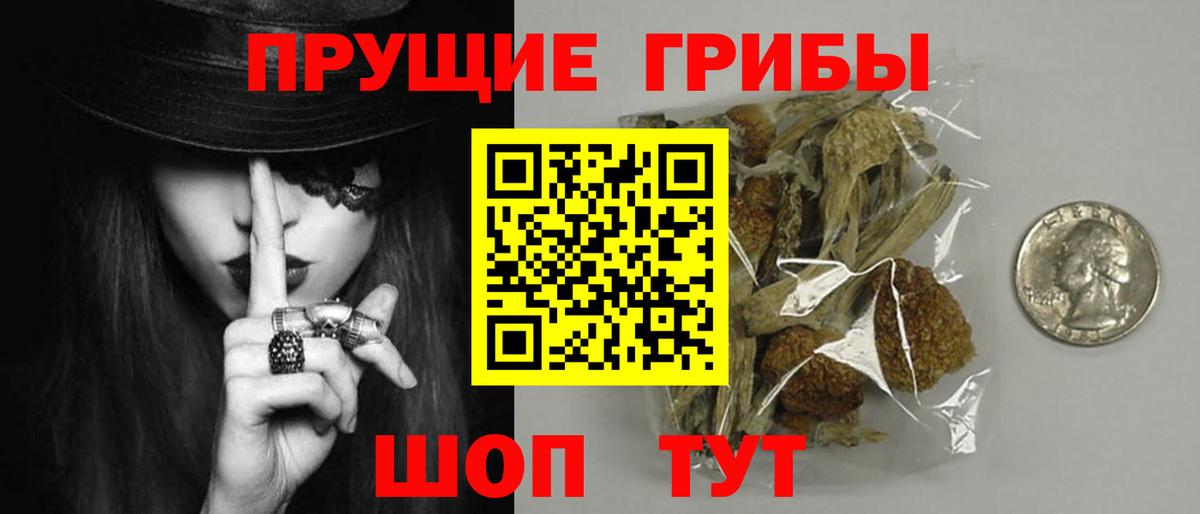 Кирово-Чепецк  Псилоцибиновые грибы Psilocybine cubensis  Вход с VPN 